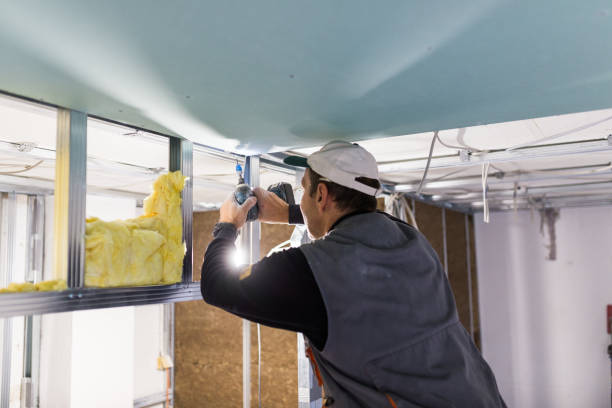 Best Spray Foam Insulation in Mount Vernon, GA