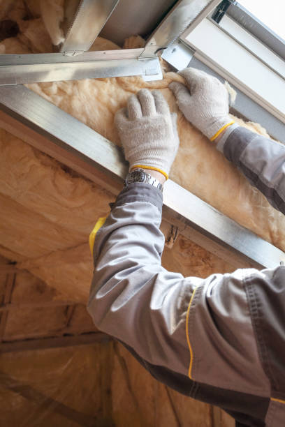 Best Specialized Insulation Services in Mount Vernon, GA