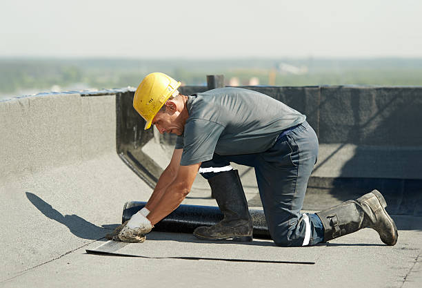 Best Cellulose Insulation in Mount Vernon, GA