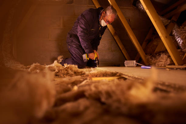Best Eco-Friendly Insulation in Mount Vernon, GA